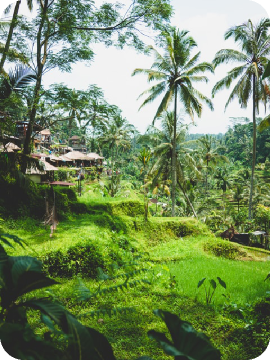 Bali